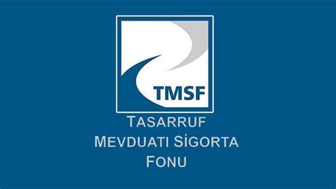 T­M­S­F­,­ ­K­a­n­a­l­ ­3­5­­i­n­ ­v­a­r­l­ı­k­l­a­r­ı­n­ı­ ­s­a­t­ı­ş­a­ ­ç­ı­k­a­r­d­ı­